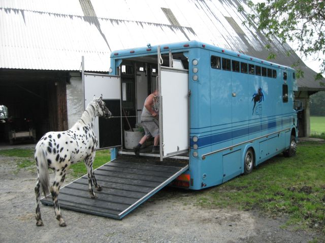 bild2