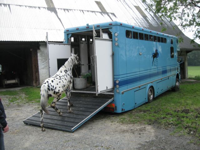 bild3